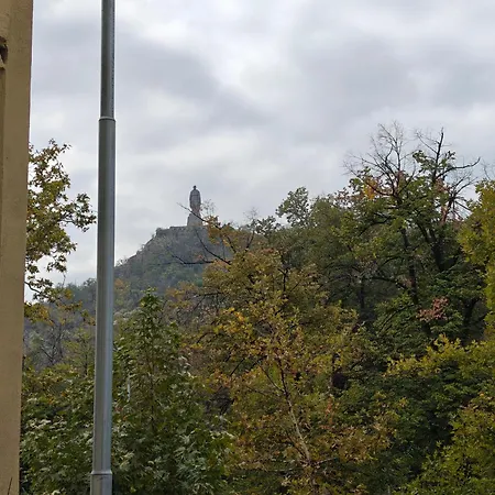 Noviz 普罗夫迪夫