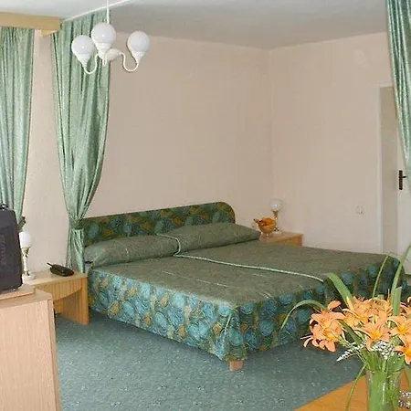 Noviz 普罗夫迪夫